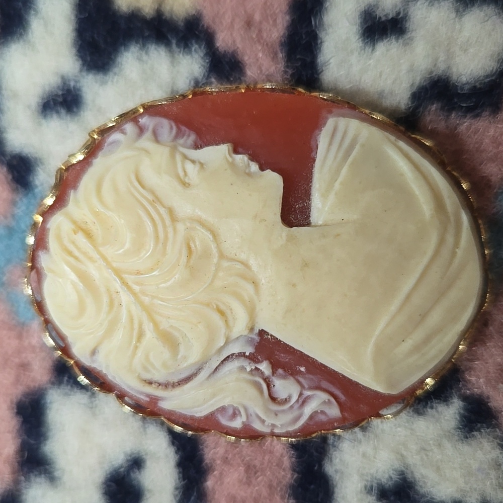 Vintage Cameo Brooch Resin Costume Jewlery Retro Pin
